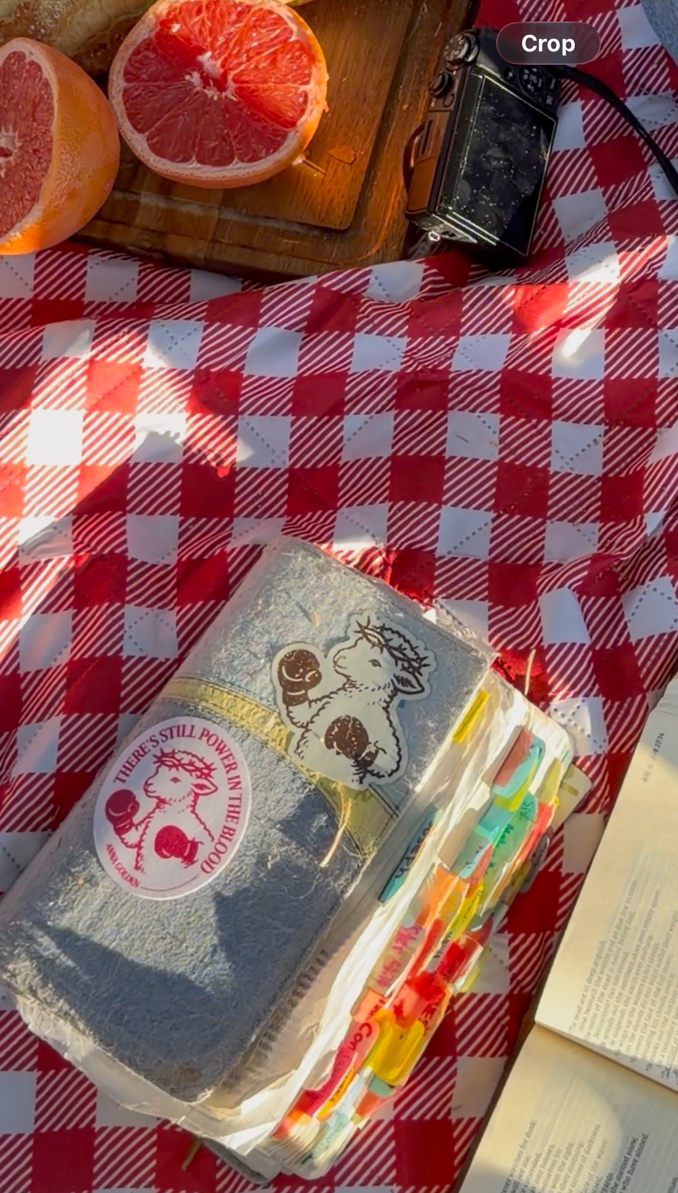 LAMB STICKERS